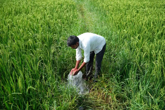 Medical congress and event