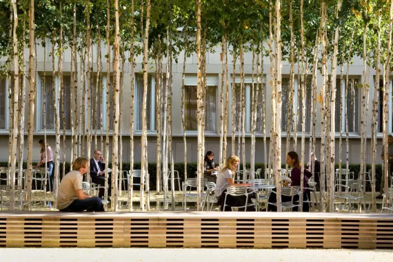 Medical congress and event