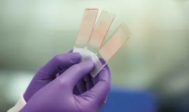 Progressive Pipeline